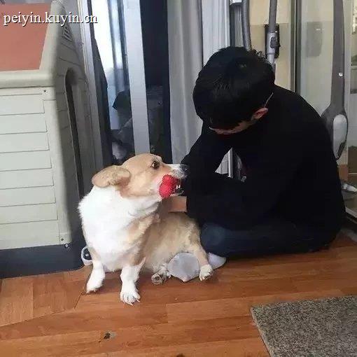 董华健