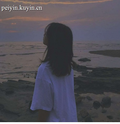 配音员:FYV015